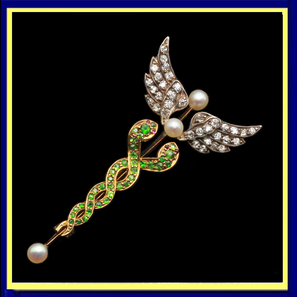 Caduceus brooch hot sale