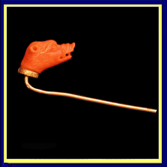 Antique Victorian stick tie pin gold natural coral boar pig head French (7470)