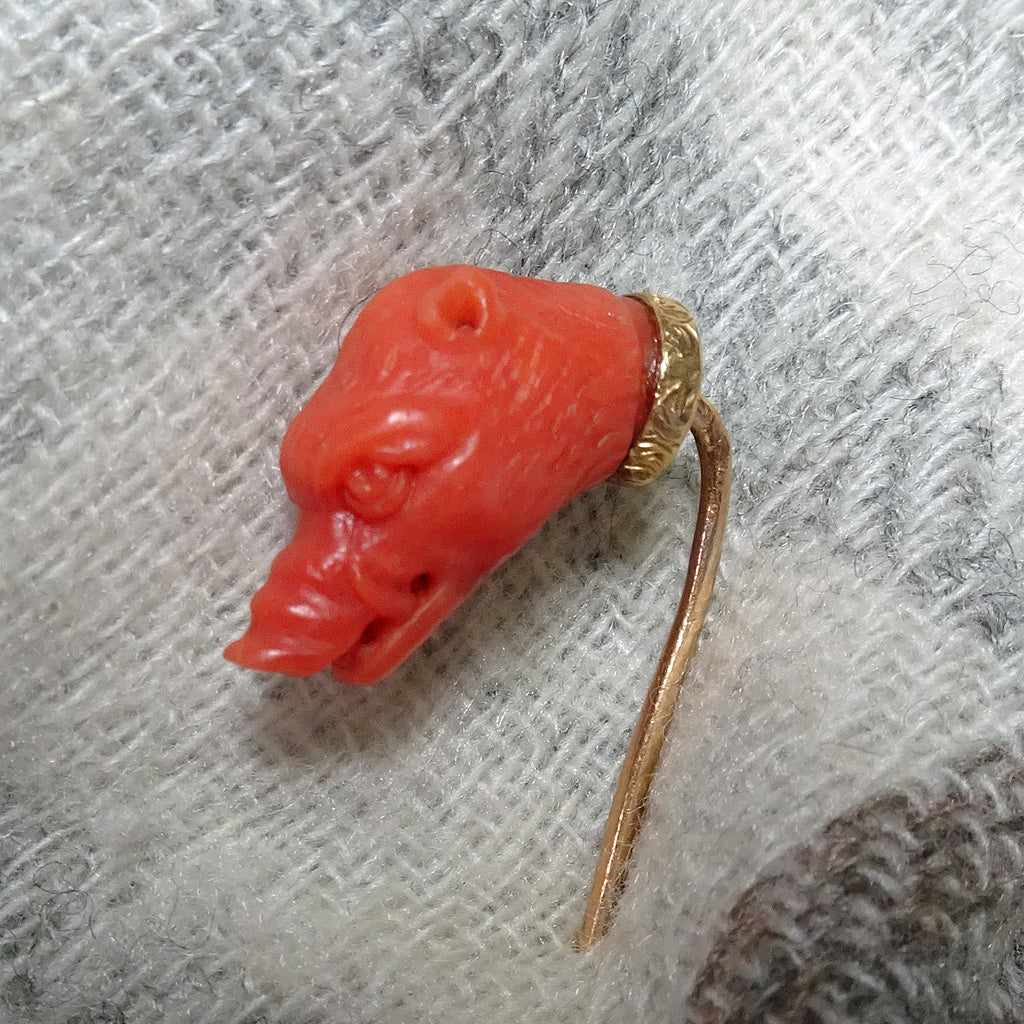 Antique Victorian stick tie pin gold natural coral boar pig head French (7470)