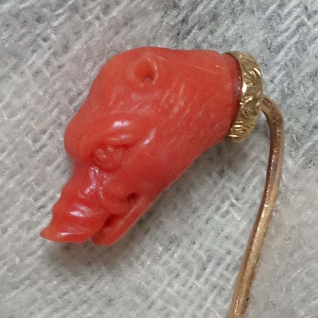 Antique Victorian stick tie pin gold natural coral boar pig head French (7470)