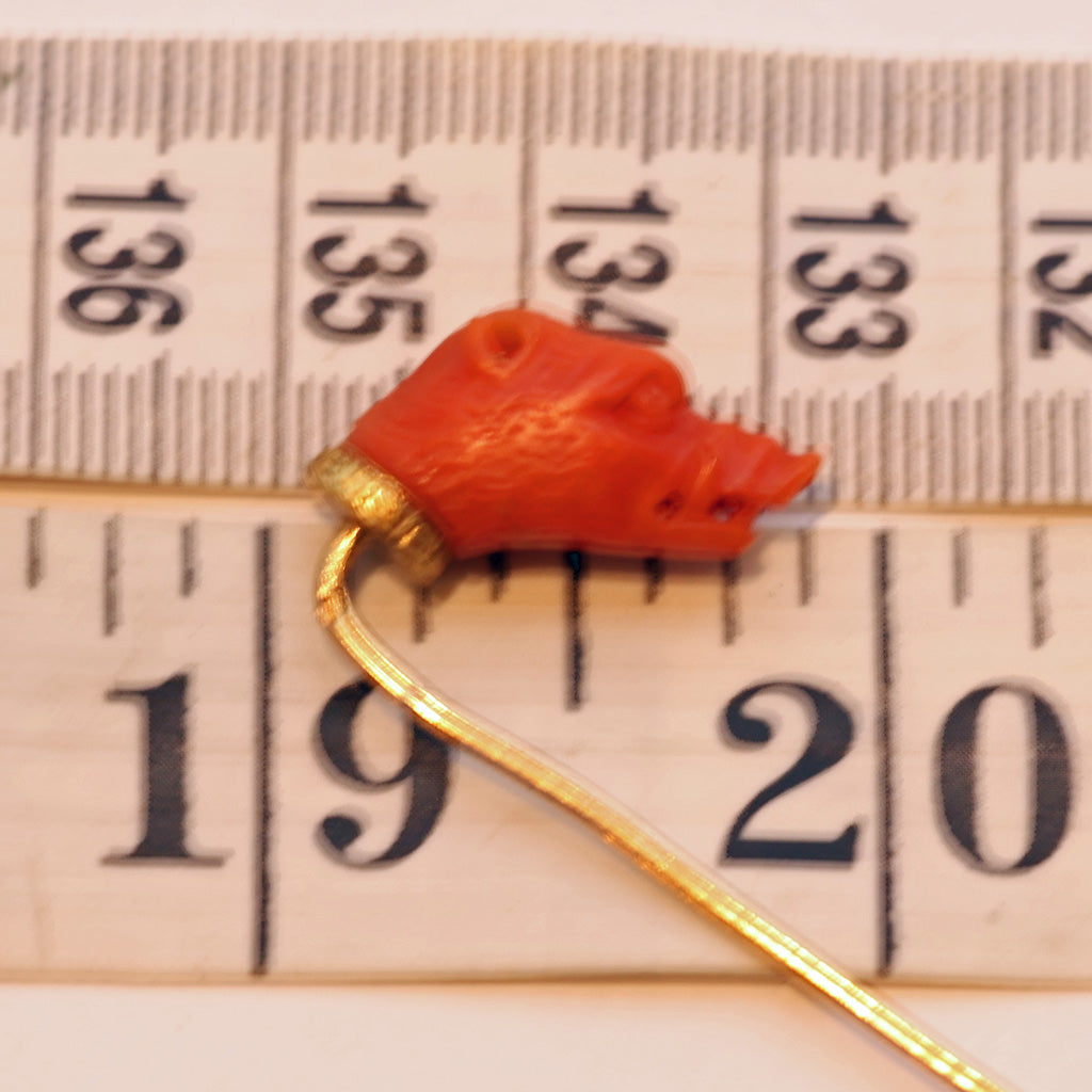 Antique Victorian stick tie pin gold natural coral boar pig head French (7470)