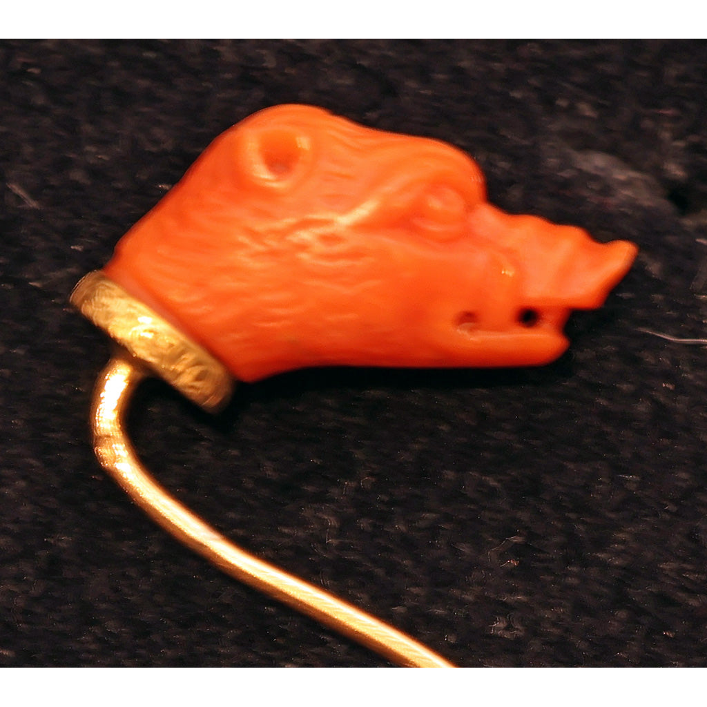 Antique Victorian stick tie pin gold natural coral boar pig head French (7470)