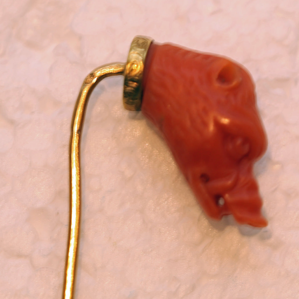 Antique Victorian stick tie pin gold natural coral boar pig head French (7470)